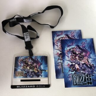 photo of BlizzCon 2014 attendee set